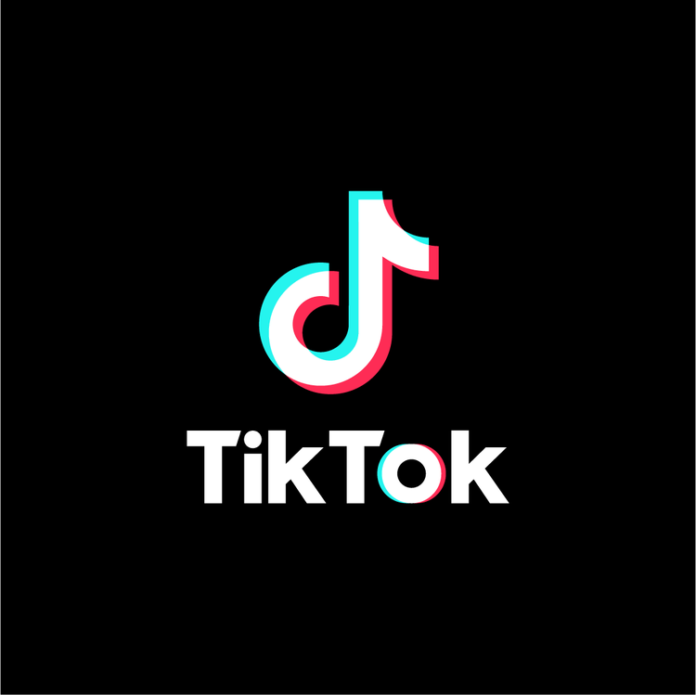 TikTok is back in India