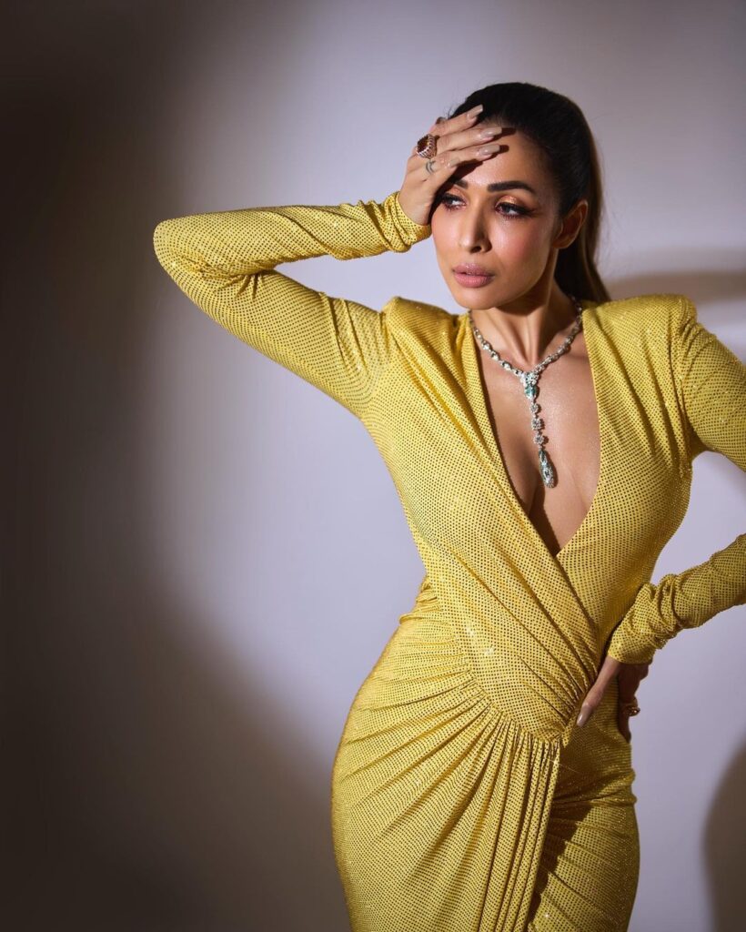 Malaika Arora seductive outfits Photos