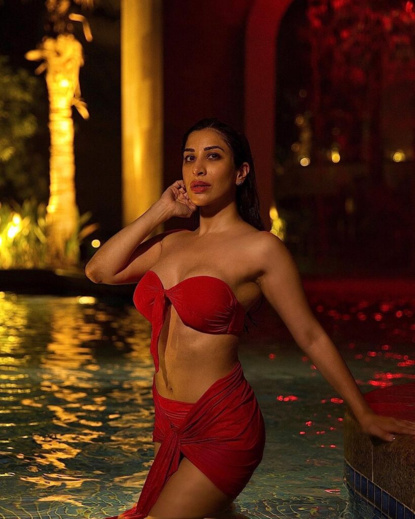 Sophie Choudry Hot Bikini Pictures