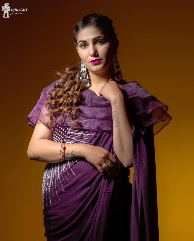Sapna Choudhary sexy photos