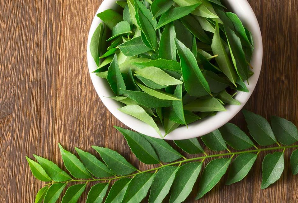 curry leaves benefits
