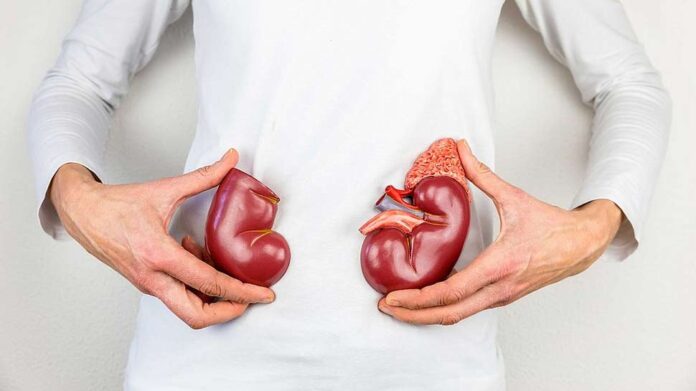 How to Maintain Kidney Health