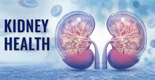How to Maintain Kidney Health