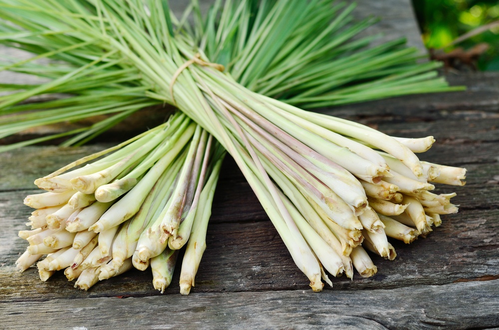 lemongrass benefits: