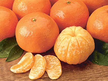 Orange fruite