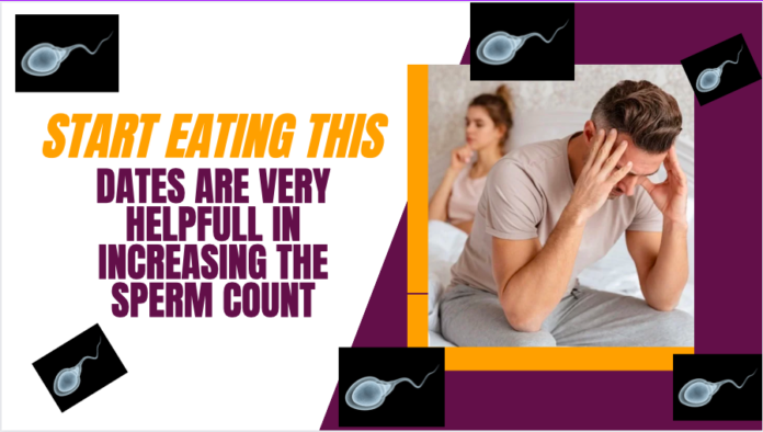 what to eat to increase sperm count
