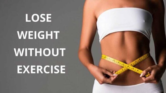 how-to-lose-weight-loss-without-exercise